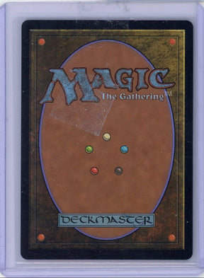 Fierce Guardianship Magic the Gathering Avatar #0307